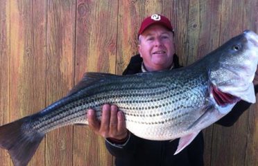 Lake Texoma Striper Fishing Tips-September Topwater-Striper Express