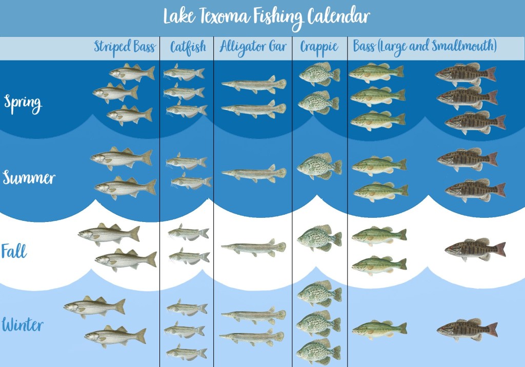 Lake Texoma Fishing Season